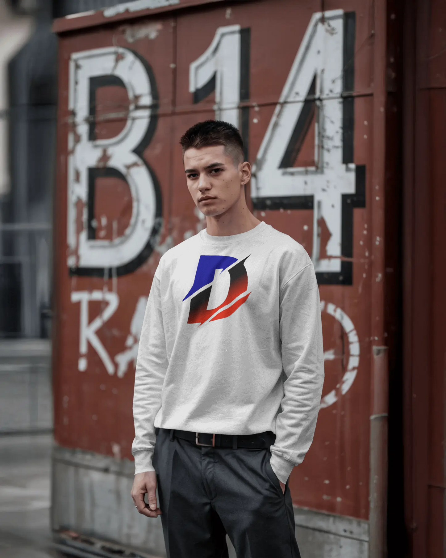 D sweatshirt 100% Cotton