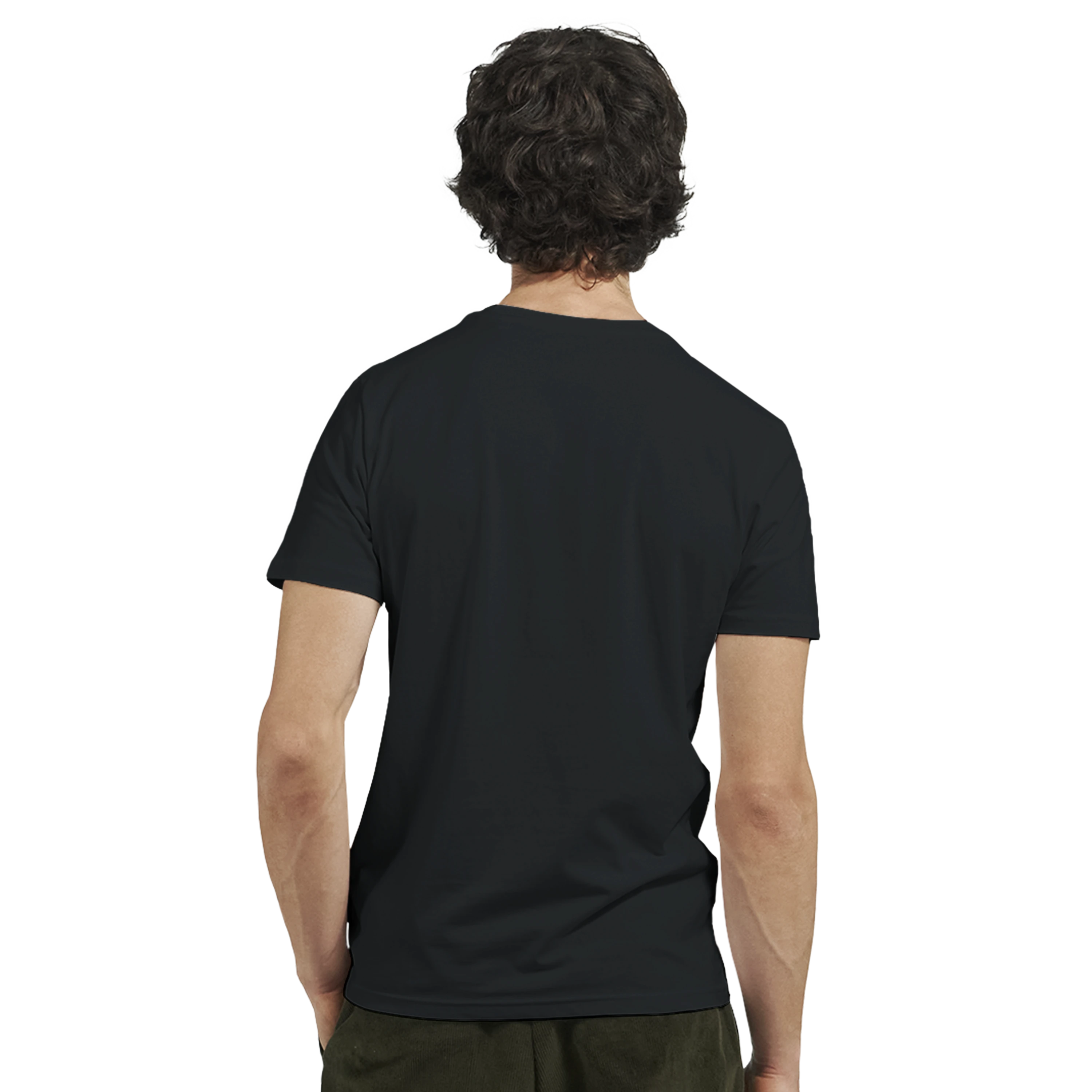 editor_back.webp